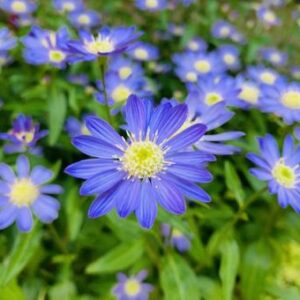 プール開き＼(^o^)／