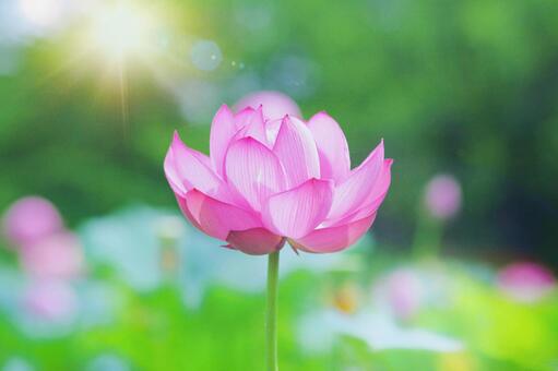 今日のかめら(*^^*)