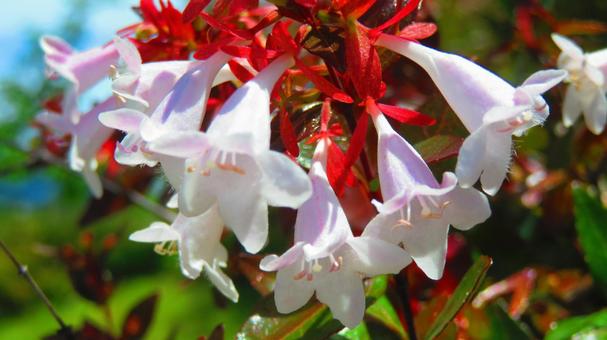 今日のかめら(*^^*)