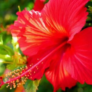 今日のかめら(*^^*)