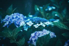 今日のかめら(*^^*)