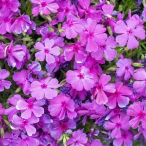 今日のかめら(*^^*)