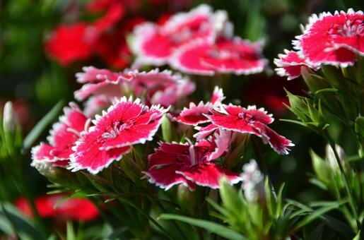 今日のかめら(*^^*)