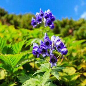 今日のかめら(*^^*)