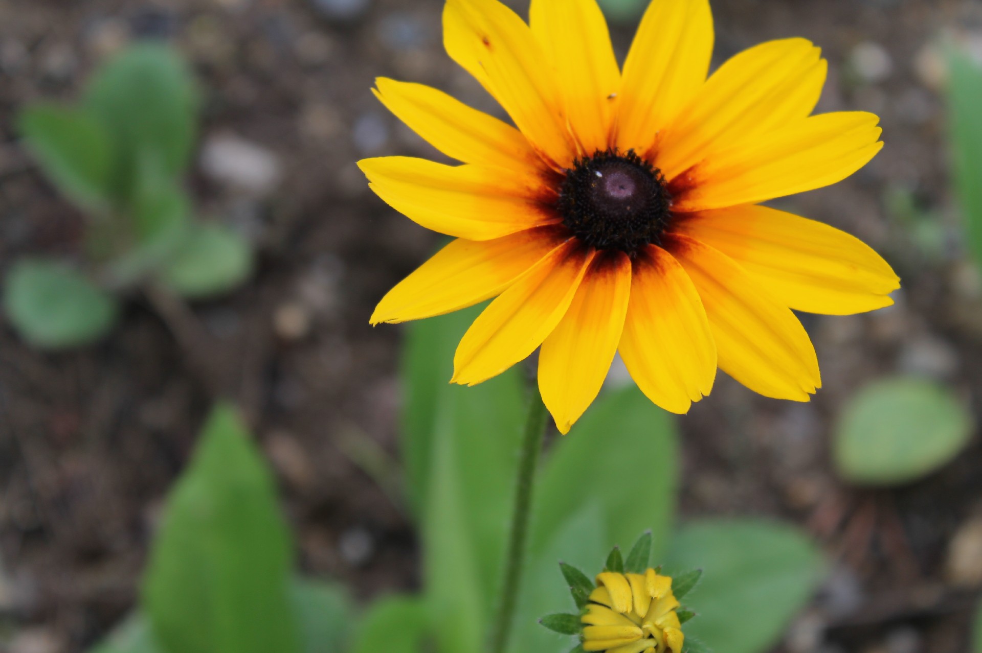 今日のかめら(*^^*)