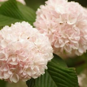 今日のかめら(*^^*)