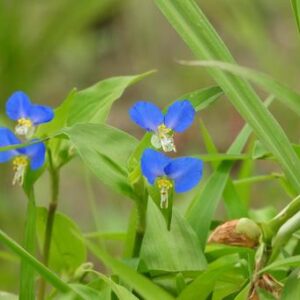 今日のかめら(*^^*)