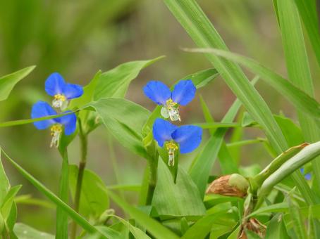 今日のかめら(*^^*)