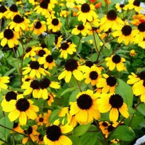 今日のかめら(*^^*)