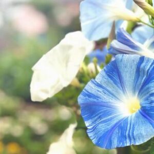 今日のかめら(*^^*)