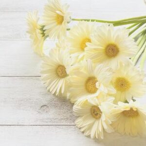 今日のかめら(*^^*)