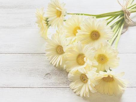 今日のかめら(*^^*)