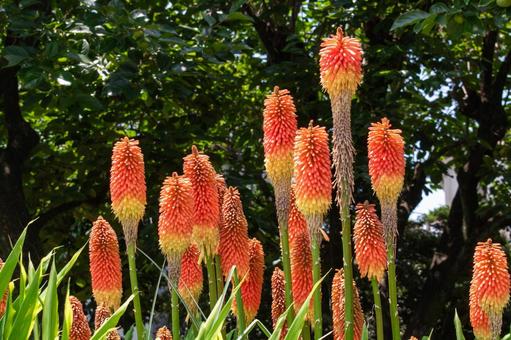 今日のかめら(*^^*)