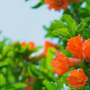 今日のかめら(*^^*)