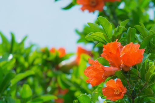 今日のかめら(*^^*)