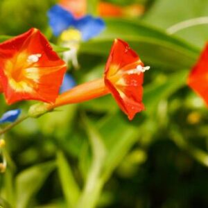 今日のかめら(*^^*)