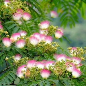 今日のかめら(*^^*)