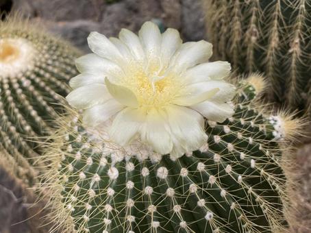 今日のかめら(*^^*)