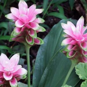 今日のかめら(*^^*)