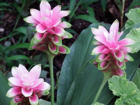 今日のかめら(*^^*)