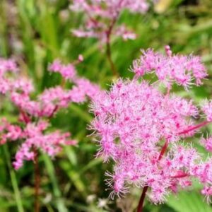 今日のかめら(*^^*)