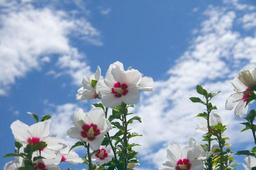 今日のかめら(*^^*)