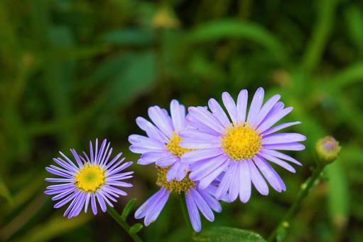 今日のかめら(*^^*)