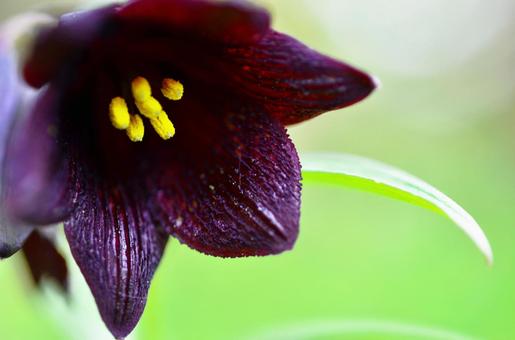 今日のかめら(*^^*)