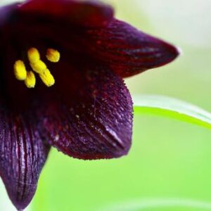 今日のかめら(*^^*)