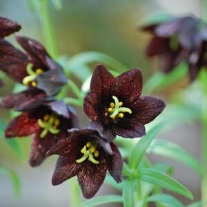 今日のかめら(*^^*)