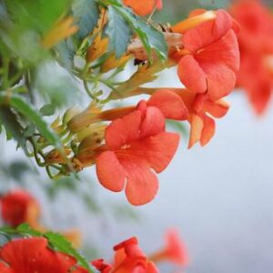 今日のかめら(*^^*)