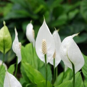 今日のかめら(*^^*)