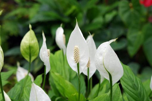 今日のかめら(*^^*)