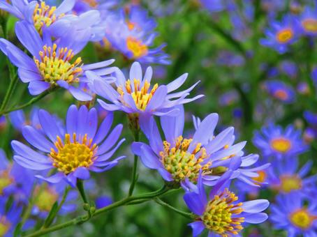 今日のかめら(*^^*)