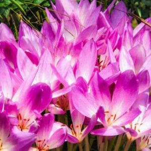 今日のかめら(*^^*)