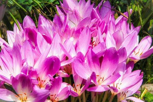 今日のかめら(*^^*)