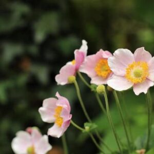 今日のかめら(*^^*)