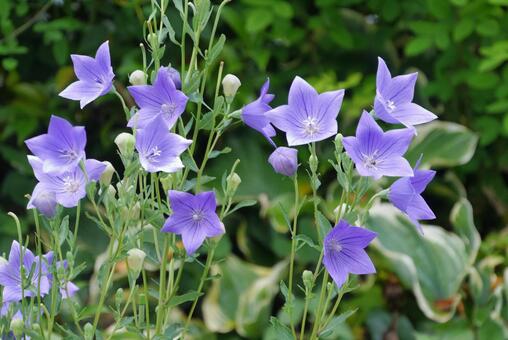 今日のかめら(*^^*)