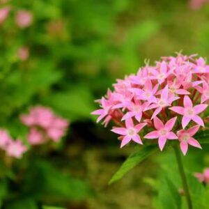 今日のかめら(*^^*)