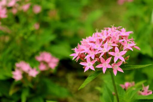 今日のかめら(*^^*)