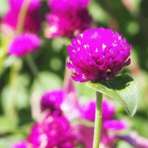 今日のかめら(*^^*)