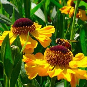 9月の動画( *´艸｀)