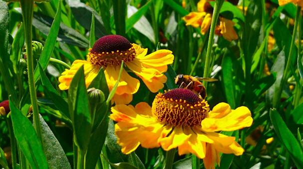 9月の動画( *´艸｀)