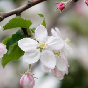 今日のかめら(*^^*)