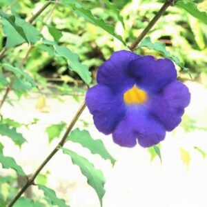 9月生まれの誕生会＼(^o^)／