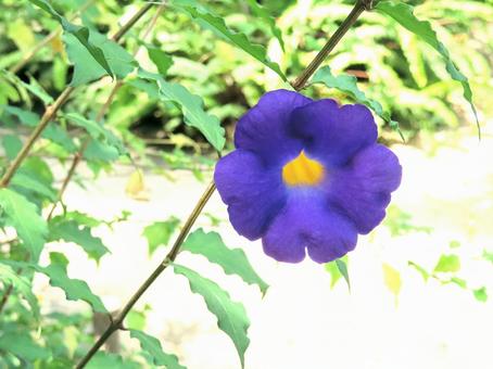 9月生まれの誕生会＼(^o^)／