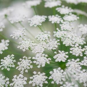 今日のかめら(*^^*)