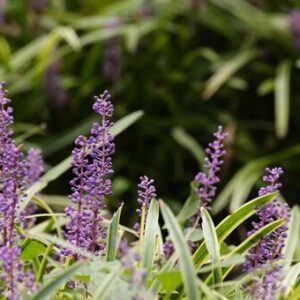 今日のかめら(*^^*)