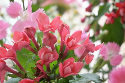 今日のかめら(*^^*)