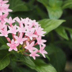 今日のかめら(*^^*)